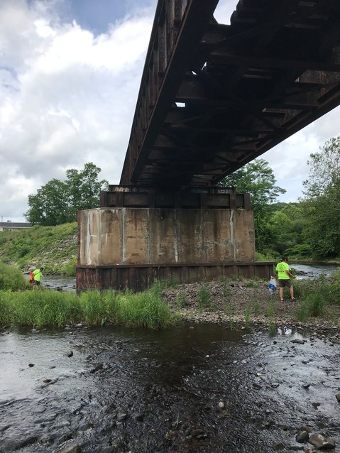 Volunteers search for trash under the railway bridge.